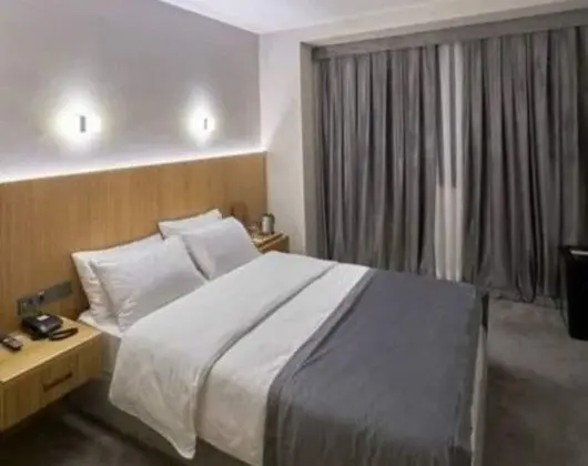 Standard Tek Büyük Yataklı Oda, 1 En Büyük (King) Boy Yatak, Sigara İçilmez, Şehir Manzaralı