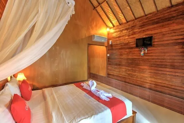 Deluxe Tek Büyük Yataklı Oda, Havuz Manzaralı