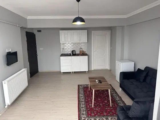 Luxury Apartment