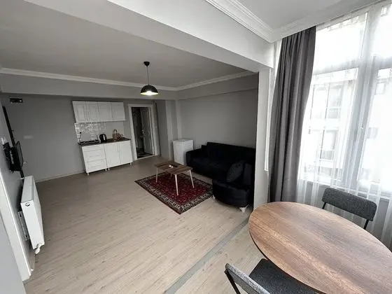 Luxury Apartment