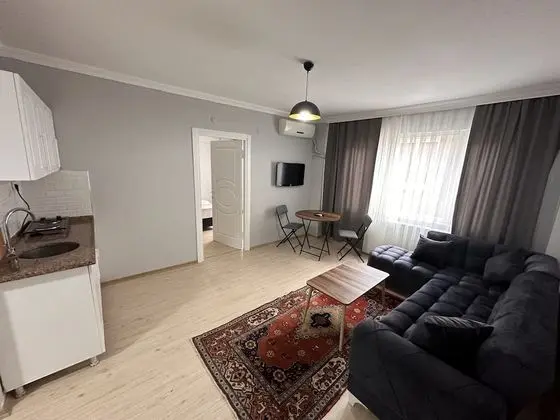 Luxury Apartment