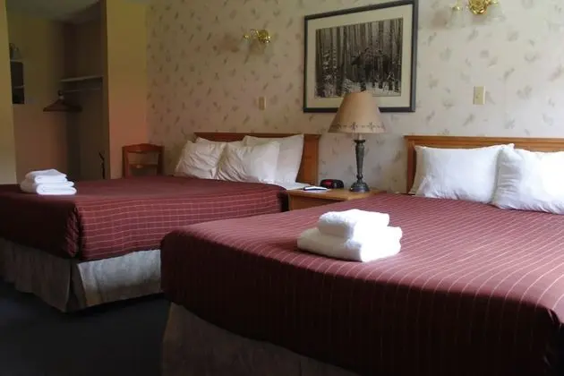 Standard Oda