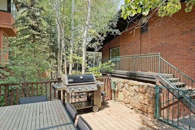 Daire (Aspen Mountain Condominiums 1C)