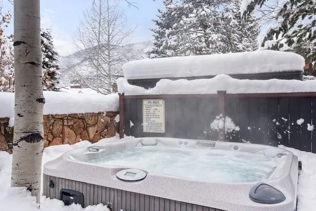 Daire (Aspen Mountain Condominiums 1C)