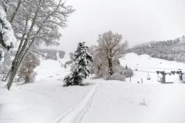 Daire (Aspen Mountain Condominiums 1C)