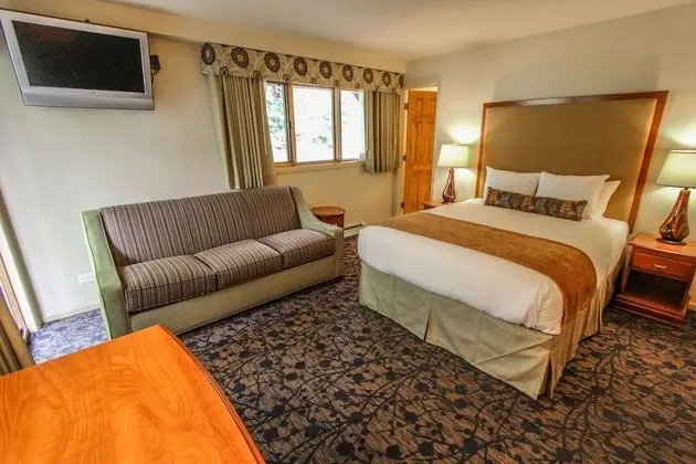 Çatı Katı (Loft), 1 Yatak Odası