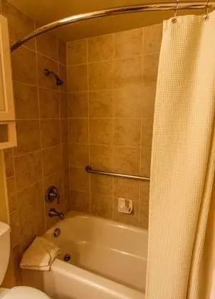 Çatı Katı (Loft), 1 Yatak Odası