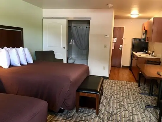 Deluxe Stüdyo Süit, 2 Büyük (Queen) Boy Yatak, Küçük Mutfak