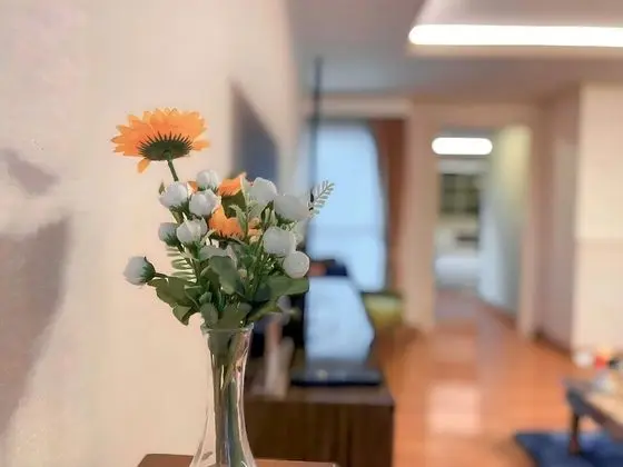 Executive Süit, 2 Yatak Odası