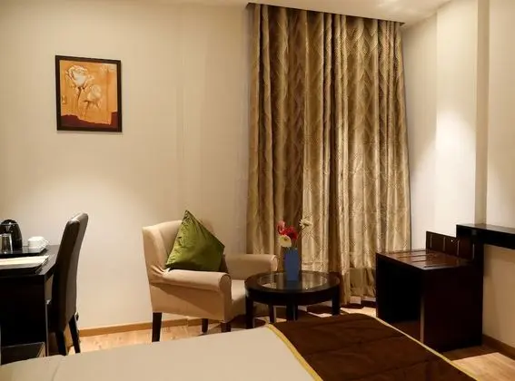 Deluxe Oda, 1 Yatak Odası, Şehir Manzaralı