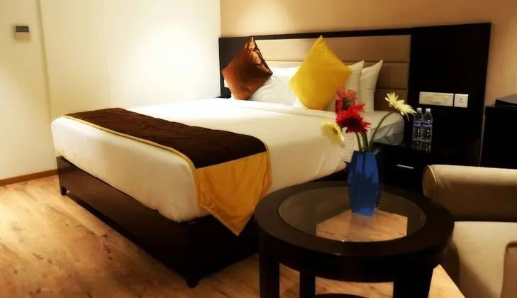Deluxe Oda, 1 Yatak Odası, Şehir Manzaralı