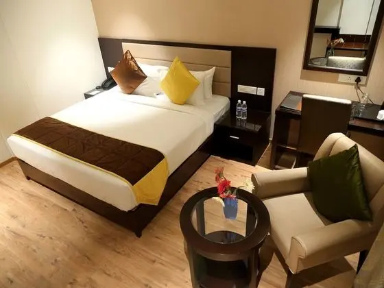 Deluxe Oda, 1 Yatak Odası, Şehir Manzaralı