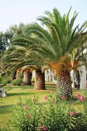 Tek Büyük Yataklı Oda, Balkon, Bahçe Manzaralı