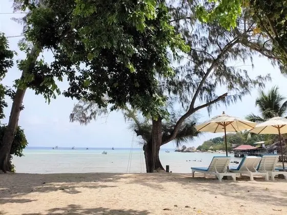 Deluxe Beach Front Bungalow