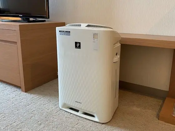 Deluxe İki Ayrı Yataklı Oda, Sigara İçilmez