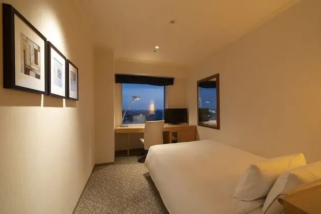 Tek Büyük Yataklı Oda, Sigara İçilmez (High Floor)