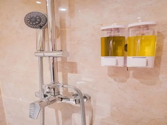 Superior Tek Büyük veya İki Ayrı Yataklı Oda, Şehir Manzaralı