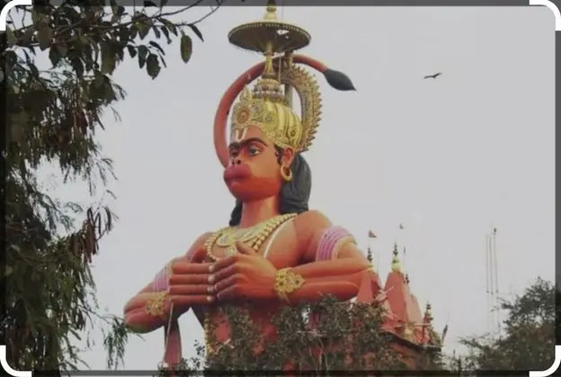 Tek Büyük Yataklı Oda, 1 En Büyük (King) Boy Yatak