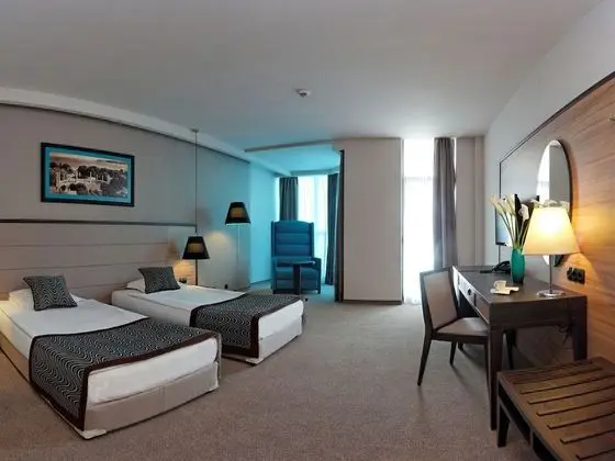 Luxury Tek Büyük Yataklı Oda