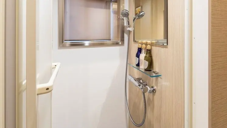 Deluxe Tek Büyük Yataklı Oda, Sigara İçilebilir (with Shower)