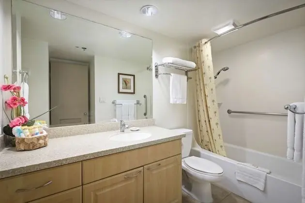 Superior Süit, 1 Yatak Odası, Şehir Manzaralı