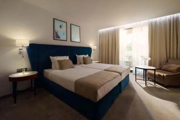 Standard Tek Büyük Yataklı Oda, Park Manzaralı