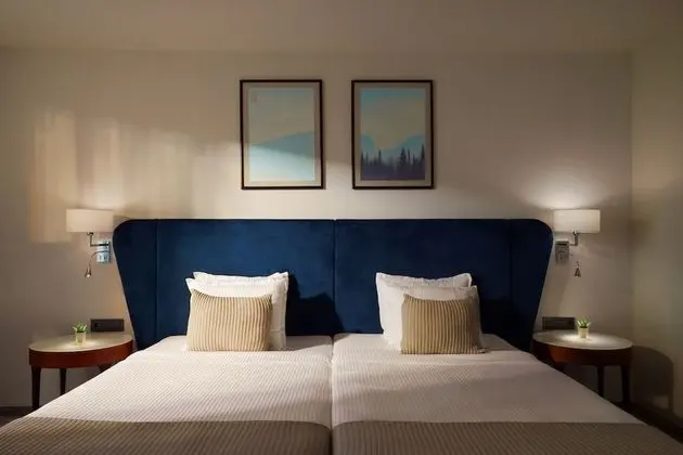 Standard Tek Büyük Yataklı Oda, Park Manzaralı