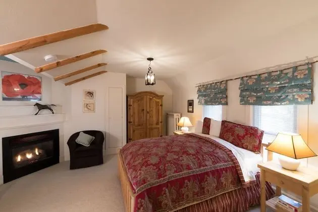 Luxury Tek Büyük Yataklı Oda, 1 Büyük (Queen) Boy Yatak, Şömine, Bahçe Manzaralı (Laredo)