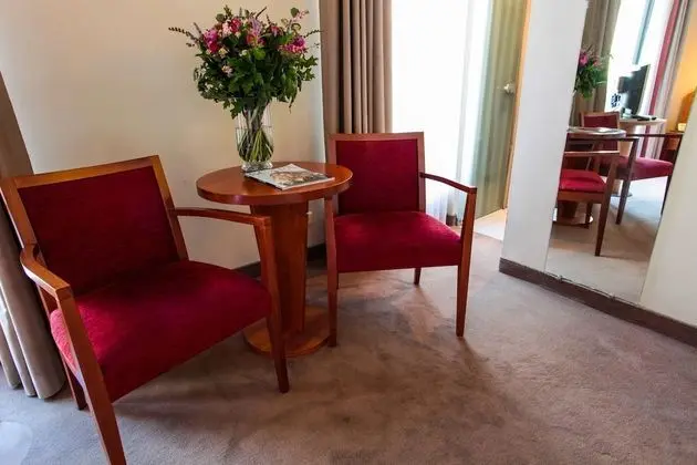 Deluxe Tek Büyük Yataklı Oda, 1 Büyük (Queen) Boy Yatak