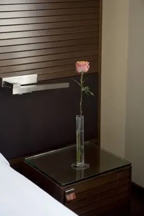Superior Büyük Yataklı Tek Kişilik Oda