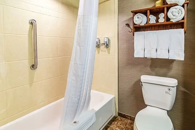 Tek Kişilik Oda, 1 En Büyük (King) Boy Yatak