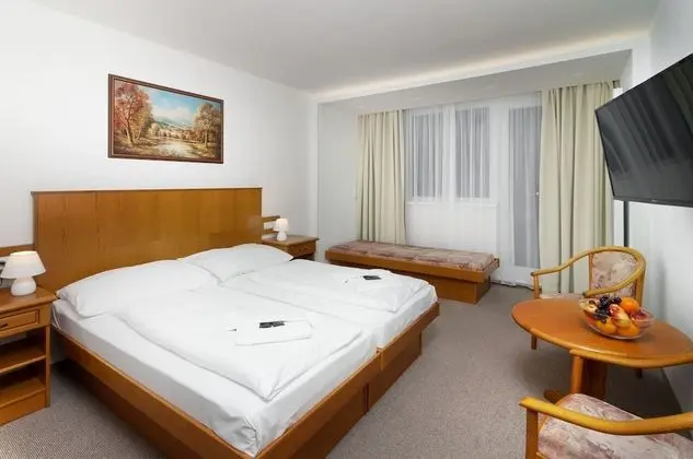 Tek Büyük Yataklı Oda (with extra bed)