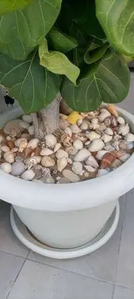 Apart Daire, 1 Yatak Odası, Veranda