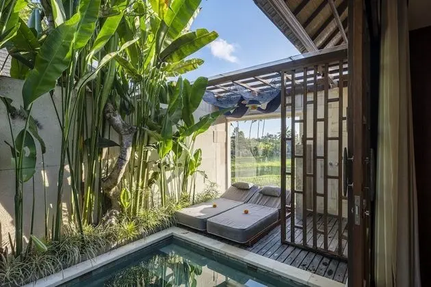 Royal Villa, 1 Yatak Odası, Sıcak Su Havuzu (Rice Field View Private Pool)