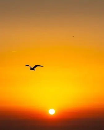 Oda, 3 Yatak Odası, Balkon