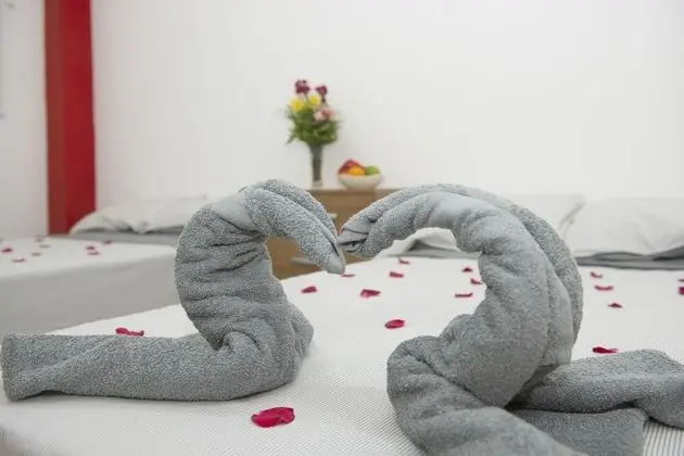 Deluxe Apart Daire, 2 Tek Kişilik Yatak (Napo)