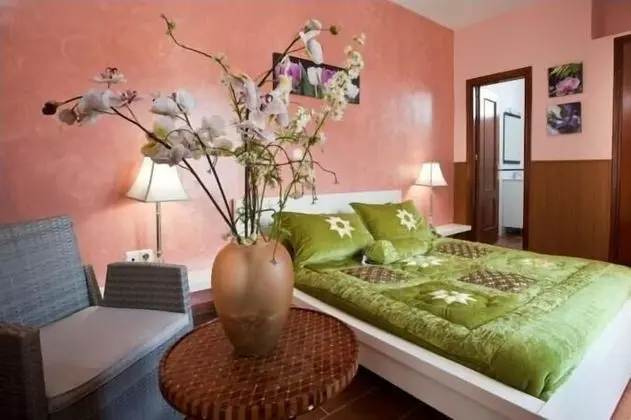 Superior Tek Büyük veya İki Ayrı Yataklı Oda