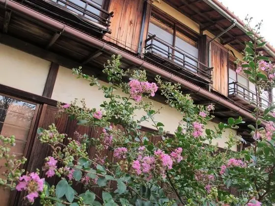 Presidential Süit, 3 Yatak Odası, Sigara İçilmez, Okyanus Manzaralı (with Private Bathroom)