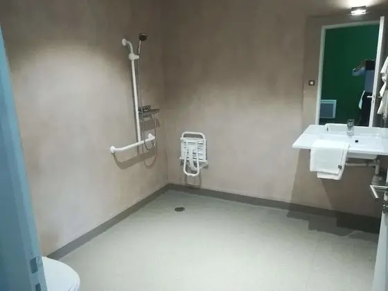 Superior Tek Büyük Yataklı Oda, 1 Büyük (Queen) Boy Yatak, Engellilere Uygun