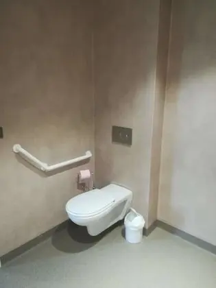 Superior Tek Büyük Yataklı Oda, 1 Büyük (Queen) Boy Yatak, Engellilere Uygun