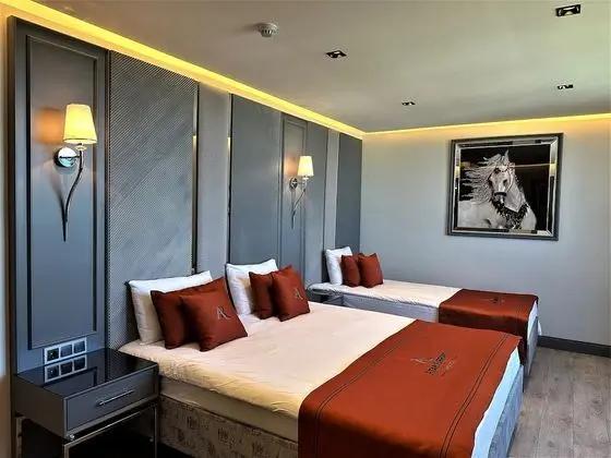 Deluxe Üç Kişilik Oda