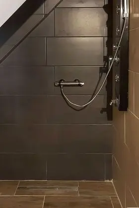 Ev