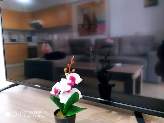 Apart Daire, 1 Yatak Odası, Şömine