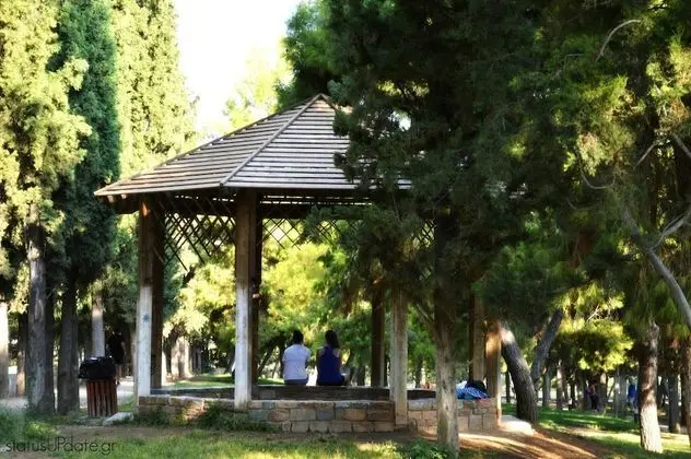 Apart Daire, 1 Yatak Odası, Şömine