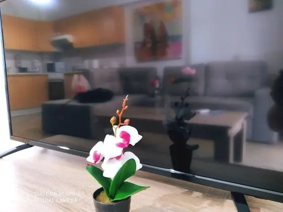 Apart Daire, 1 Yatak Odası, Şömine