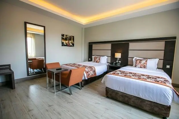 Deluxe Oda, 2 Tek Kişilik Yatak, Sigara İçilmez