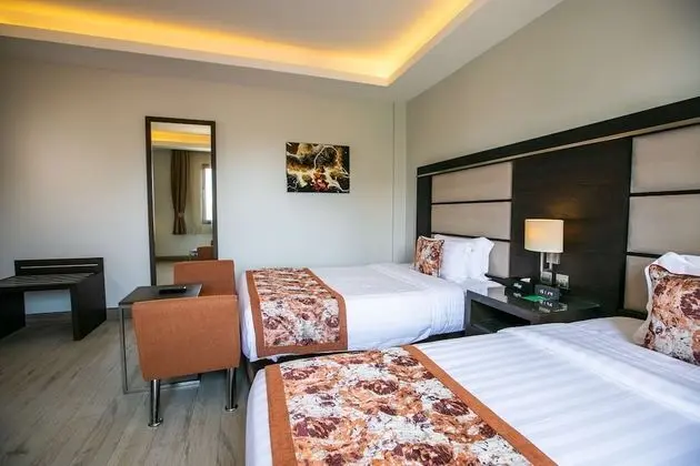 Deluxe Oda, 2 Tek Kişilik Yatak, Sigara İçilmez