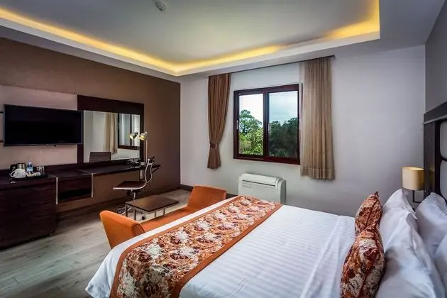 Executive Süit, 1 En Büyük (King) Boy Yatak, Sigara İçilmez
