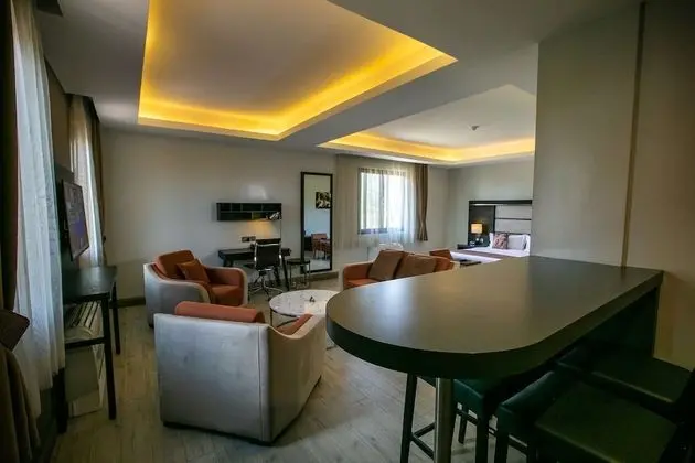 Executive Süit, 1 En Büyük (King) Boy Yatak, Sigara İçilmez