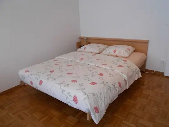 Basic Stüdyo